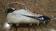 CHAMP BAILEY Denver Broncos signed, game used Nike cleat withphoto proof
