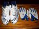 Chicago Bears Brendon Ayanbadejo Autographed ProBowl Game Used Cleats & Gloves