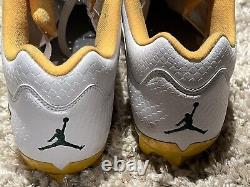 Davante Adams Auto Signed Game Used Custom Jordan 5 Pe Promo Cleats Photos Coa