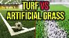 What S The Difference Between Turf And Artificial Grass